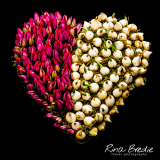 Rina Bredie-2020-Tulpenhart